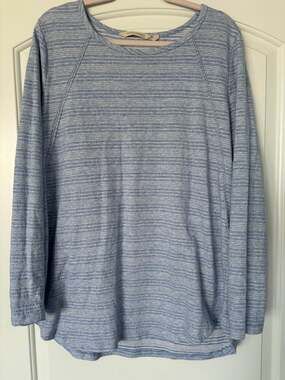 Soft Surroundings Striped Raglan Top XL Blue White Braided Seam Cotton Blend